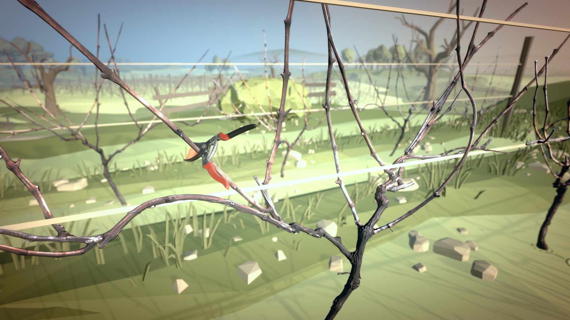 Vue en réalité augmentée d'un cep de vigne pendant un exercice de taille AMPÉLOS